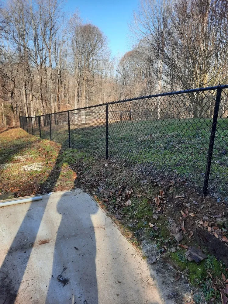 Professional yard cleanup service experts serving Colonial Beach, VA - Aylor's Handyman Services