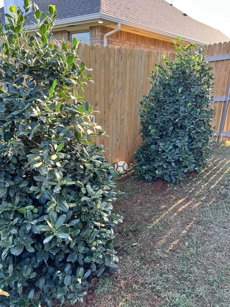 Custom lawn mowing service in Edmond, OK by Aynes Enterprises