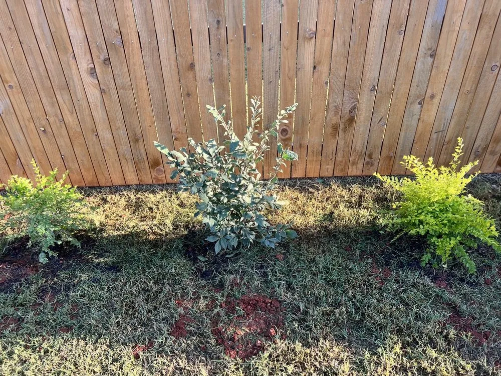 Expert garden landscaping experts serving Edmond, OK - Aynes Enterprises