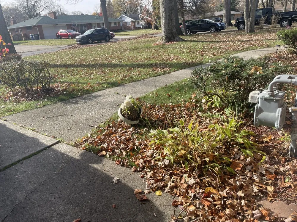 Trusted outdoor landscaping in Toledo, OH - AYO Outdoor Service