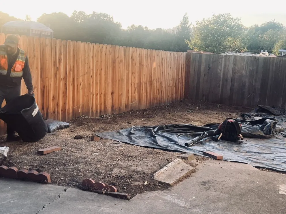 Affordable lawn mowing service experts serving Newark, CA - Ayon Landscaping