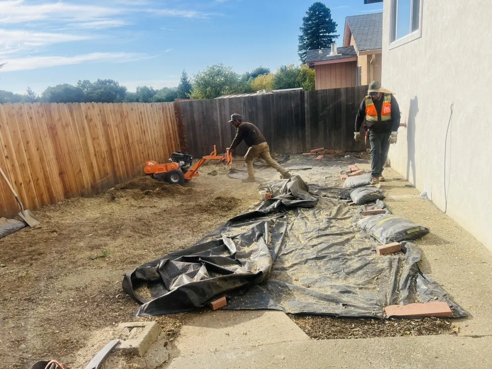 Affordable yard cleanup service for beautiful yards across Newark, CA - Ayon Landscaping