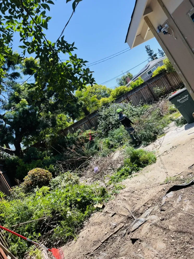 Expert landscape installation in Newark, CA - Ayon Landscaping