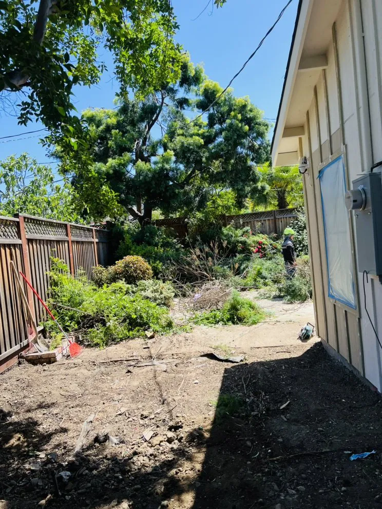 Professional lawn mowing service in Newark, CA by Ayon Landscaping