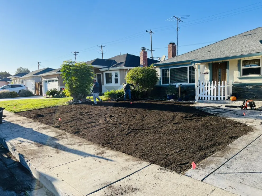 Top-rated lawn care service for outdoor upgrades in Newark, CA by Ayon Landscaping