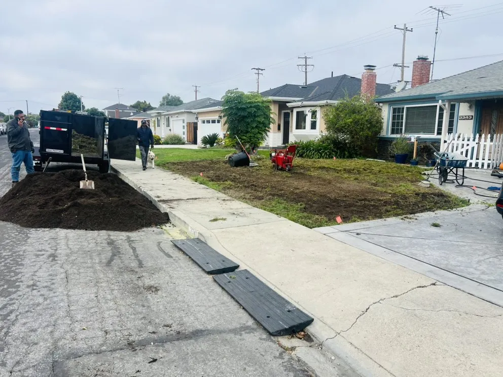 Top-rated residential landscaping for outdoor upgrades across Newark, CA - Ayon Landscaping