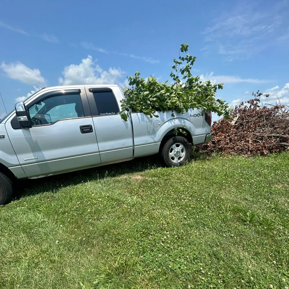 Affordable yard maintenance near you across Warwick, MD - Ayon Lawn Care