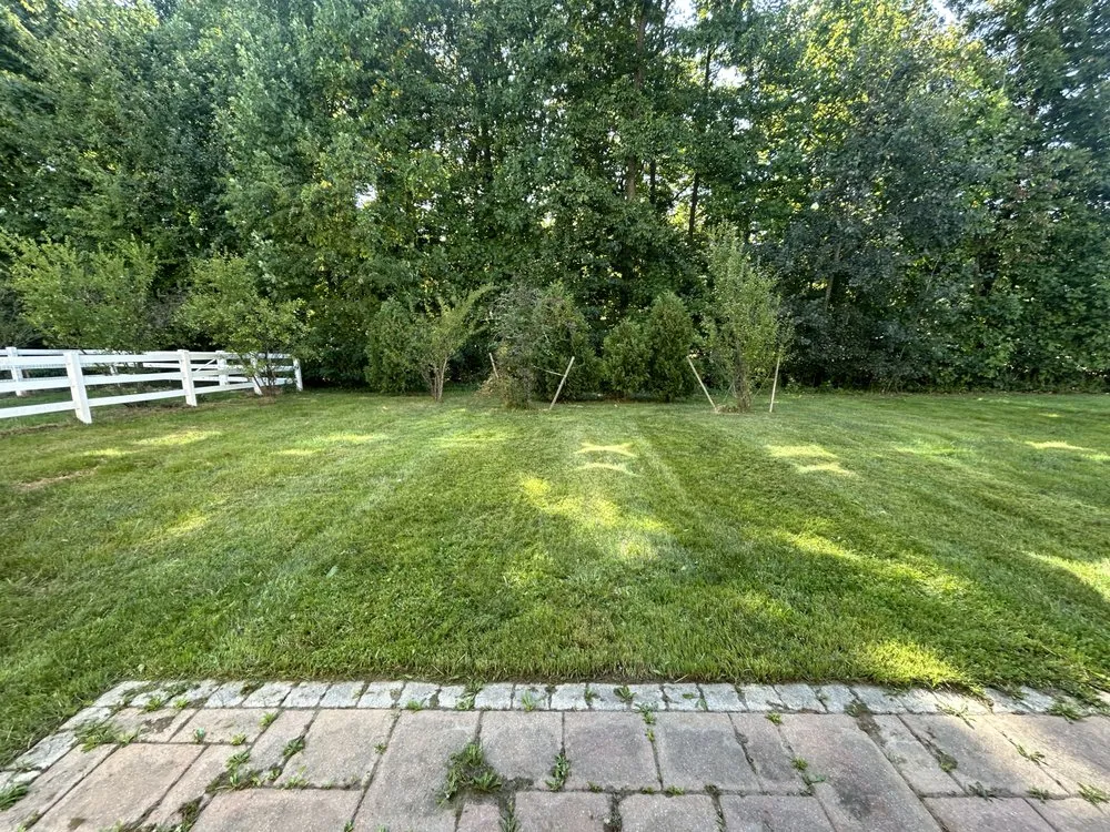 Custom landscape design experts serving Warwick, MD - Ayon Lawn Care