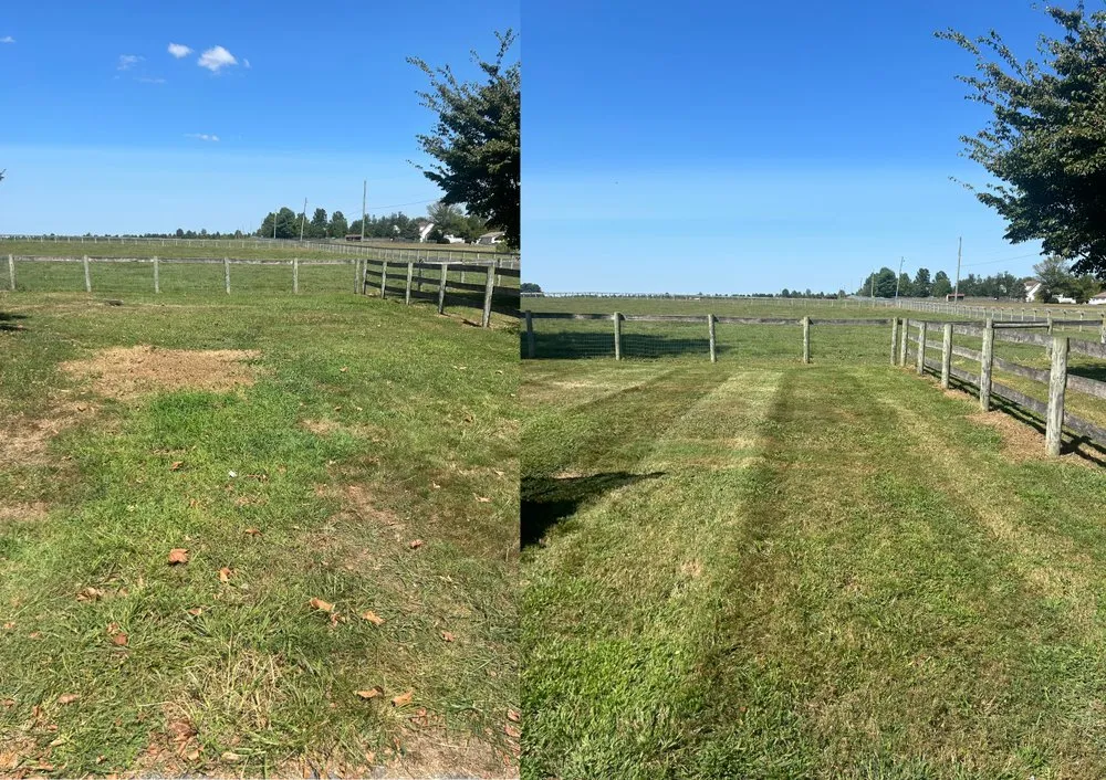 Custom yard cleanup service with custom design in Warwick, MD by Ayon Lawn Care