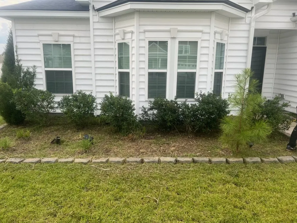 Reliable yard cleanup service in Charleston, SC by AYS At Your Service Lawncare