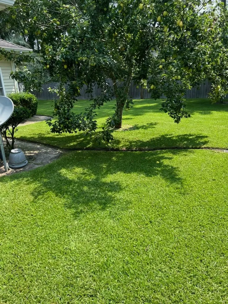 Reliable landscape design in Charleston, SC - AYS At Your Service Lawncare