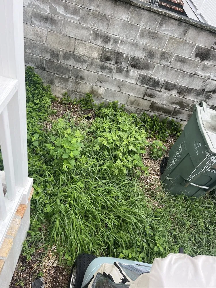 Custom landscape installation in Charleston, SC - AYS At Your Service Lawncare