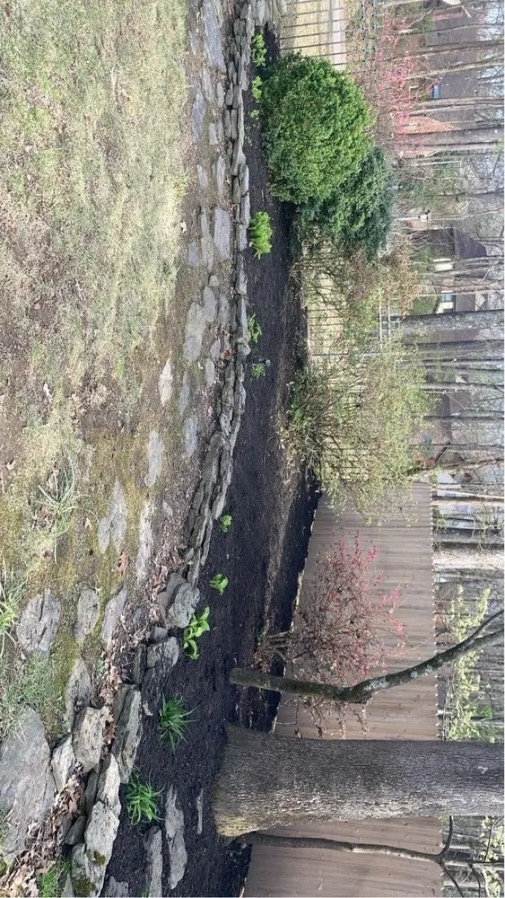 Expert garden landscaping in Collierville, TN - A&Z Allstars