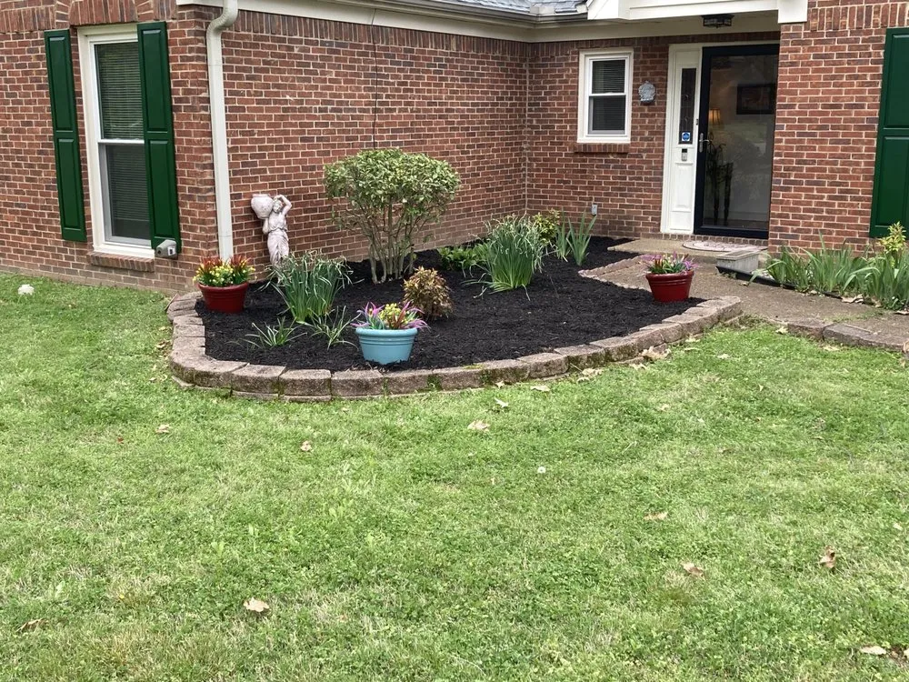 Reliable yard cleanup service with custom design in Collierville, TN by A&Z Allstars