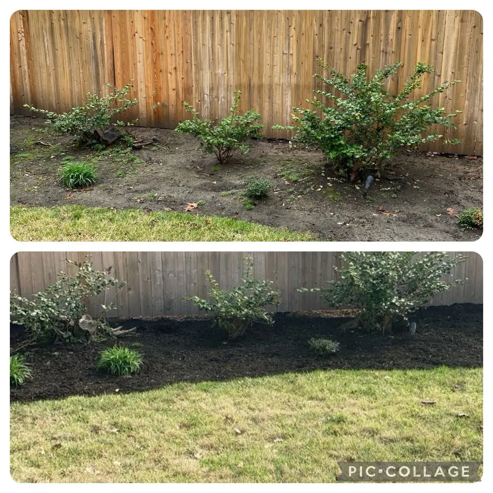 Reliable lawn mowing service in Collierville, TN by A&Z Allstars