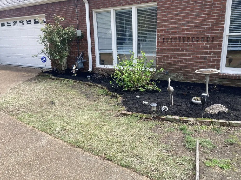 Reliable yard cleanup service experts serving Collierville, TN - A&Z Allstars