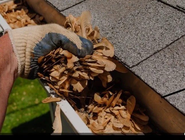 Affordable garden landscaping near you across Collierville, TN - A&Z Allstars