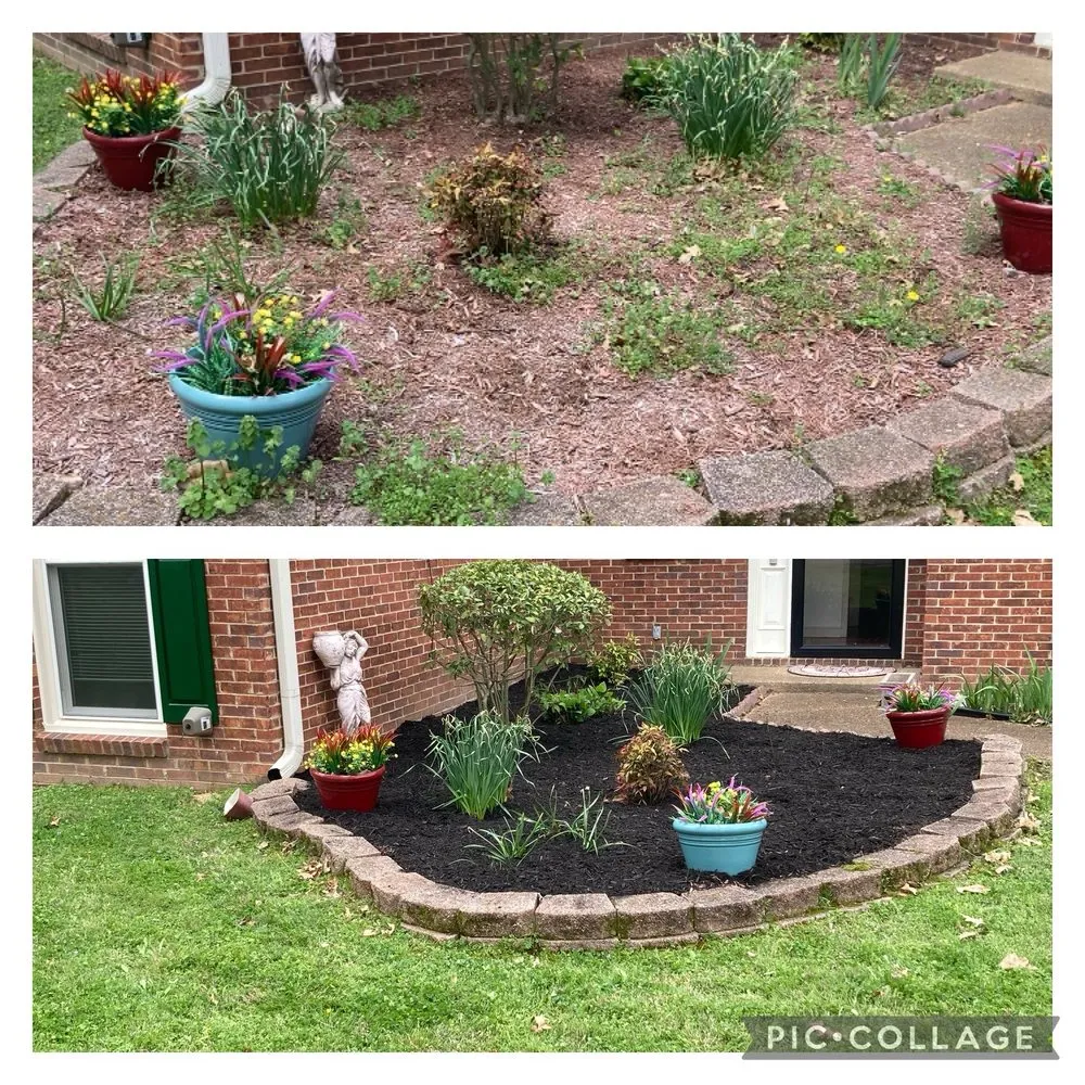 Top-rated outdoor landscaping experts serving Collierville, TN - A&Z Allstars