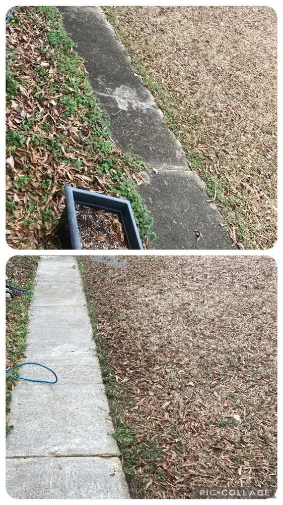 Trusted yard cleanup service in Collierville, TN by A&Z Allstars