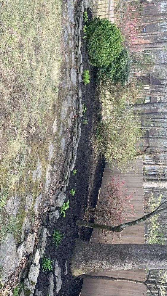 Trusted landscape design in Collierville, TN by A&Z Allstars