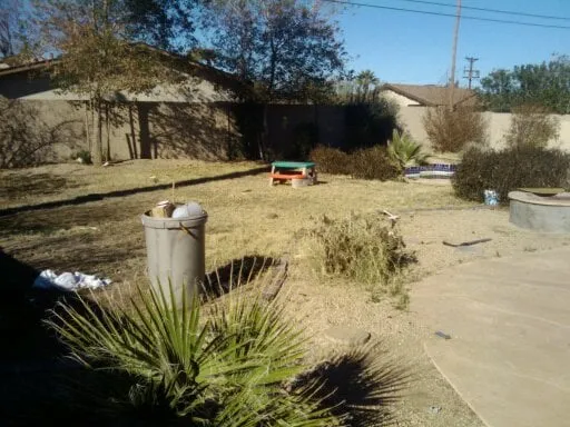 Expert landscape design in Phoenix, AZ - Az Angels Green