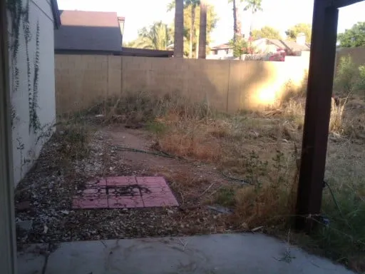 Professional garden landscaping in Phoenix, AZ - Az Angels Green