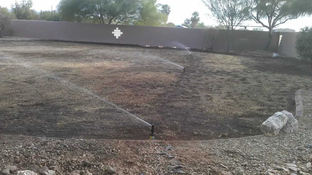 Professional yard maintenance experts serving Phoenix, AZ - Az Angels Green
