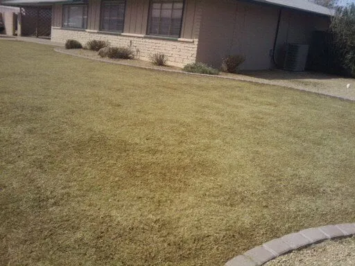 Custom landscape design near you across Phoenix, AZ - Az Angels Green