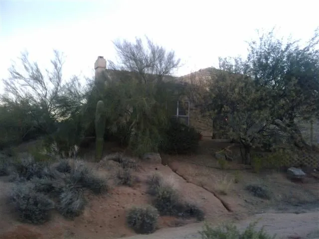 Top-rated lawn care service for homes across Phoenix, AZ - Az Angels Green