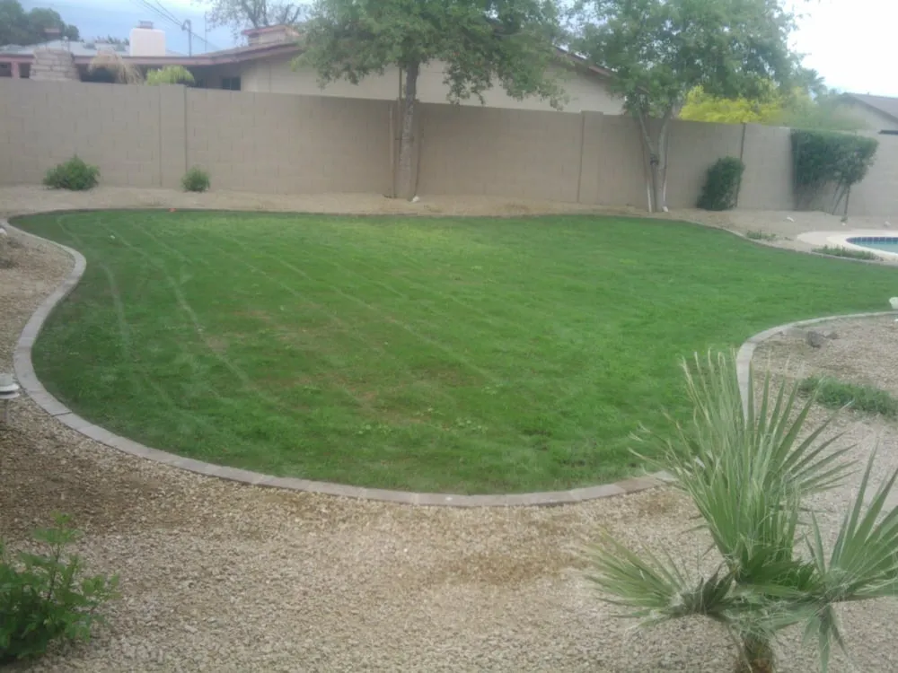 Professional yard maintenance experts serving Phoenix, AZ - Az Angels Green