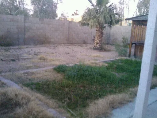 Trusted lawn care service for homes across Phoenix, AZ - Az Angels Green