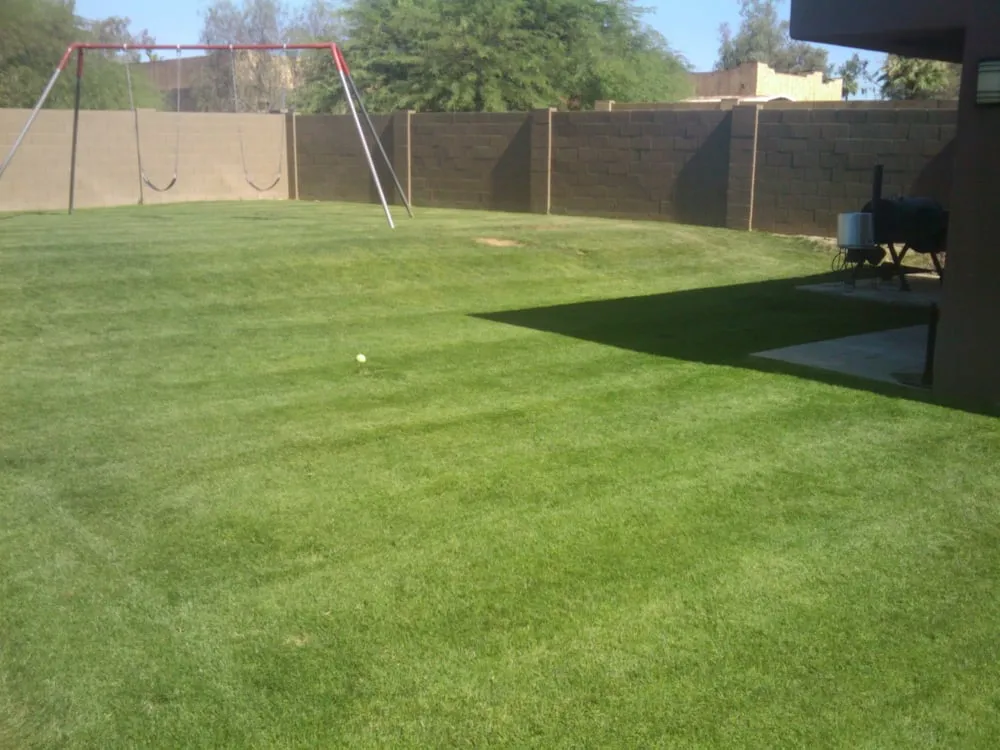 Top-rated outdoor landscaping experts serving Phoenix, AZ - Az Angels Green