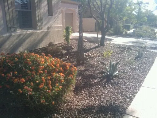 Expert landscape design experts serving Phoenix, AZ - Az Angels Green