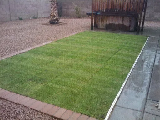 Trusted landscaping services in Phoenix, AZ - Az Angels Green