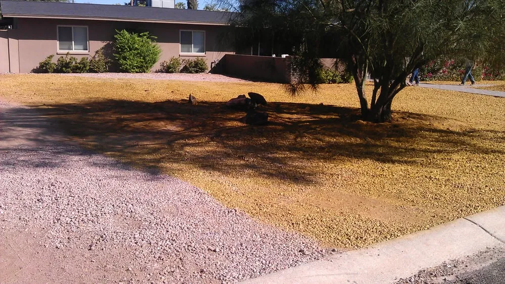 Top-rated yard cleanup service in Phoenix, AZ - Az Angels Green