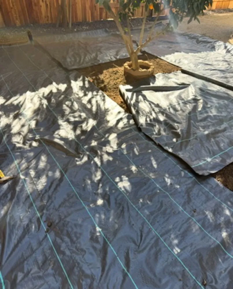 Expert lawn care service in Sacramento, CA - AZ Artificial Turf