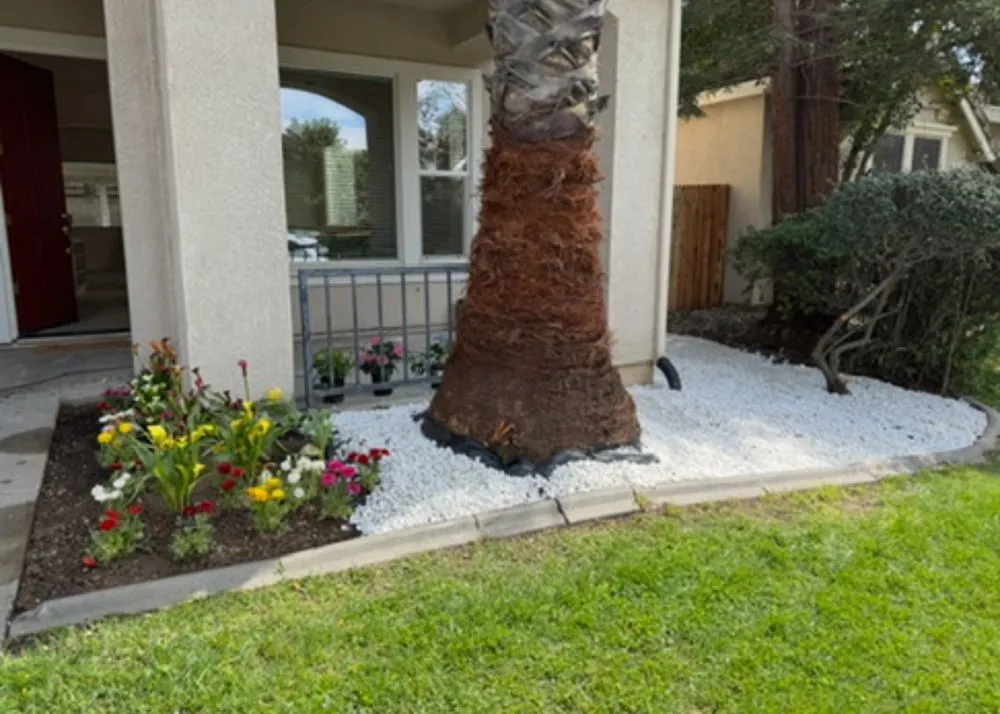 Trusted landscape installation in Sacramento, CA by AZ Artificial Turf
