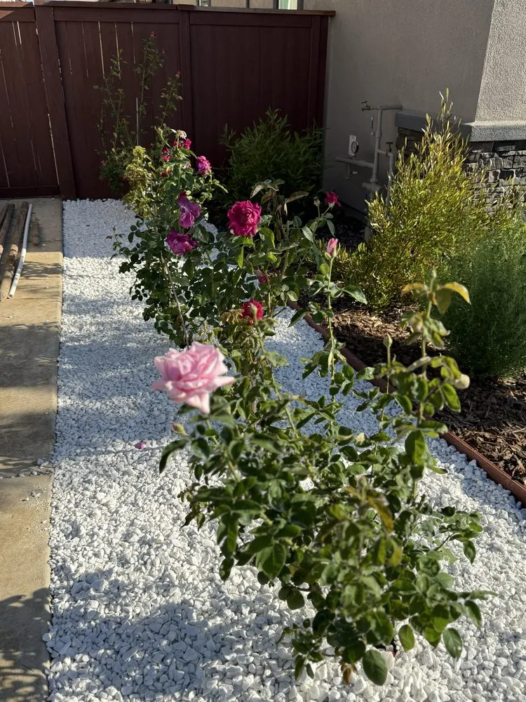 Expert residential landscaping experts serving Sacramento, CA - AZ Artificial Turf