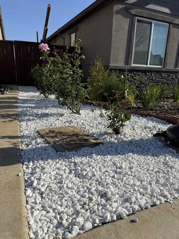 Top-rated lawn care service for year-round maintenance across Sacramento, CA - AZ Artificial Turf