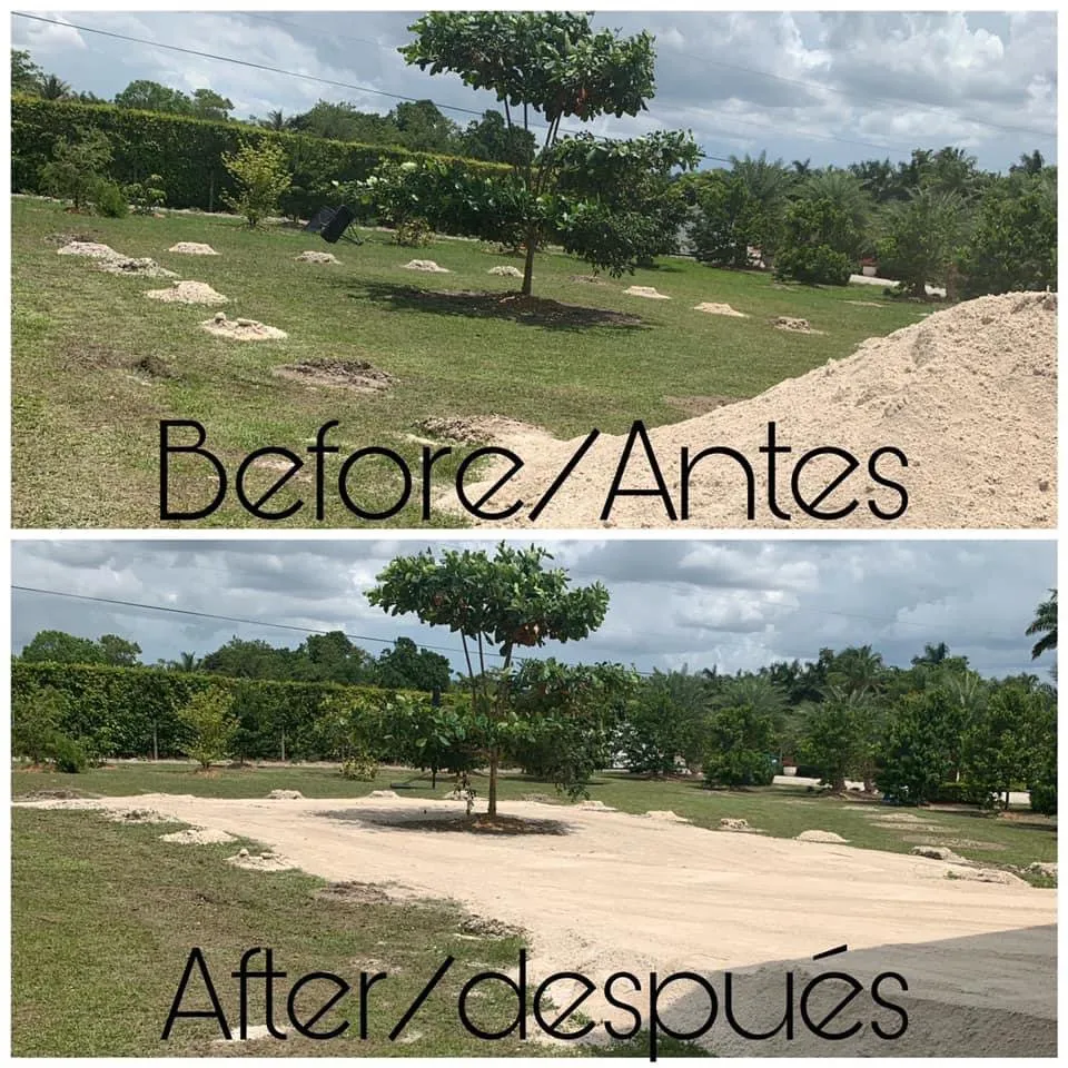 Top-rated landscape design with custom design across Miami, FL - AZ Bobcat Services