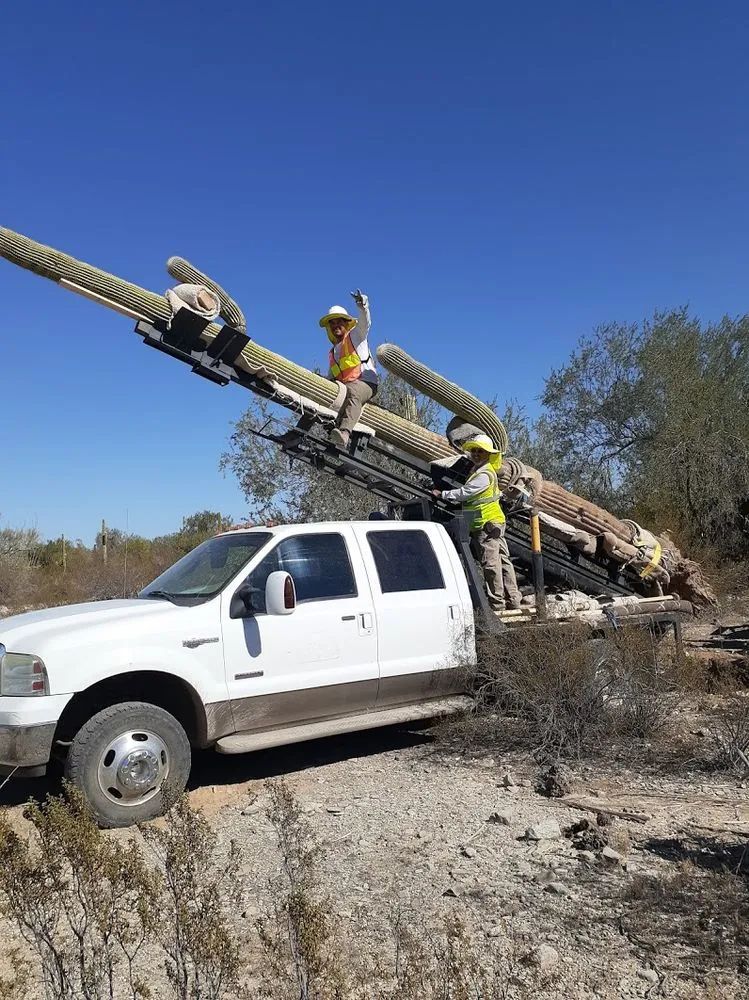 Top-rated lawn care service in Tucson, AZ - AZ Cactus & Tree Service