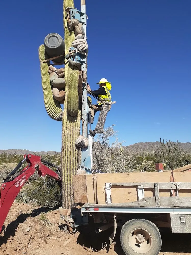 Local lawn mowing service in Tucson, AZ - AZ Cactus & Tree Service