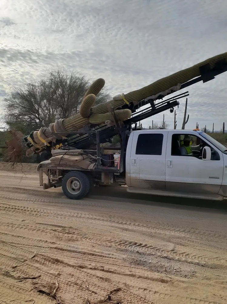 Trusted lawn mowing service for outdoor upgrades in Tucson, AZ by AZ Cactus & Tree Service