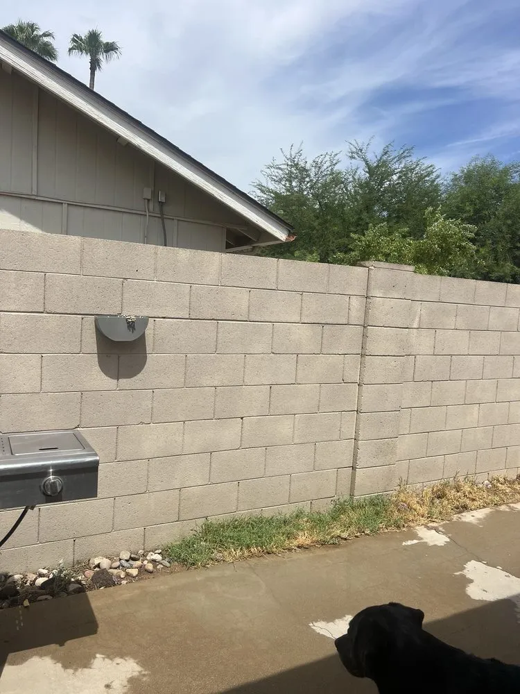 Professional landscape installation in Phoenix, AZ - AZ Cactus Experts