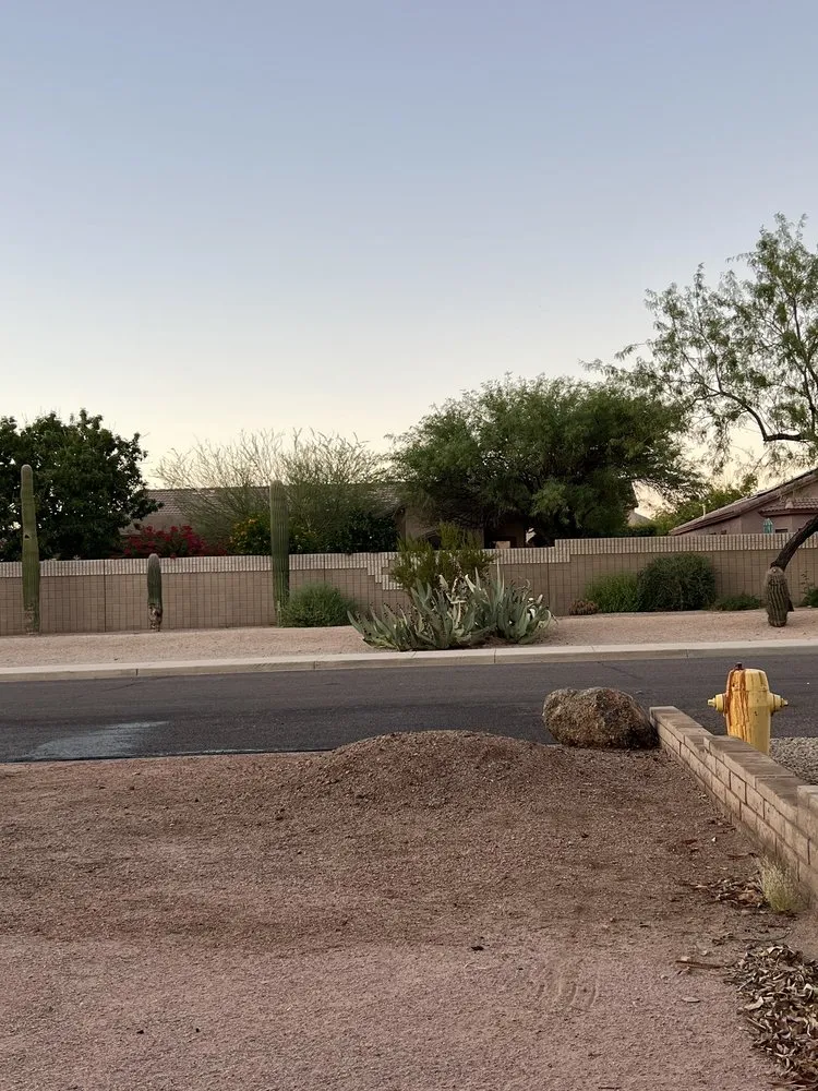 Top-rated lawn care service for year-round maintenance in Phoenix, AZ by AZ Cactus Experts