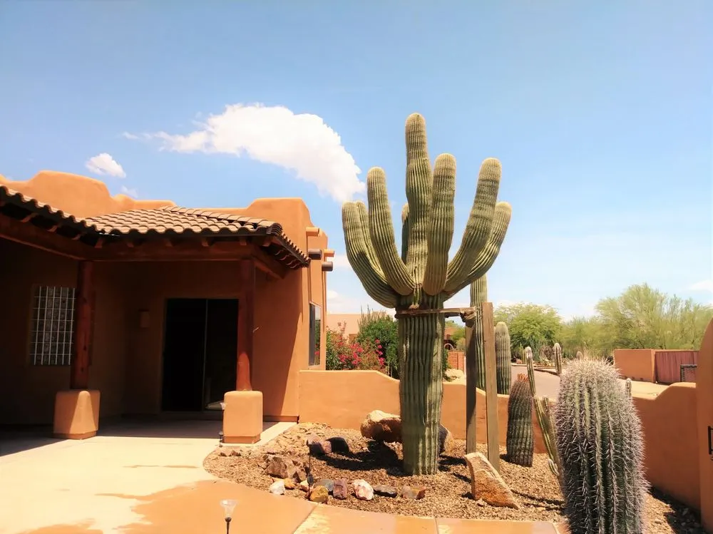 Affordable lawn care service in Phoenix, AZ by AZ Cactus Experts