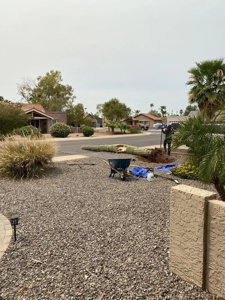 Trusted yard cleanup service experts serving Phoenix, AZ - AZ Cactus Experts