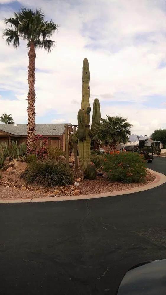 Reliable lawn care service for outdoor upgrades across Phoenix, AZ - AZ Cactus Experts