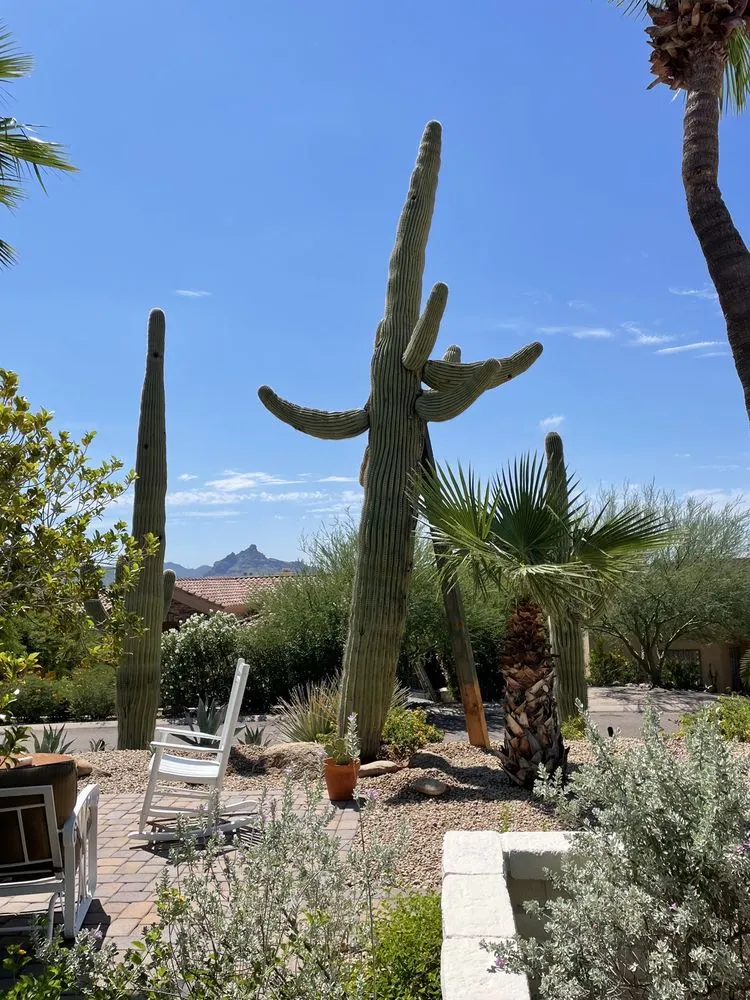 Reliable lawn care service in Phoenix, AZ by AZ Cactus Experts