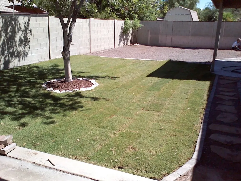 Expert yard cleanup service in San Tan Valley, AZ - AZ Custom Concrete & Landscape